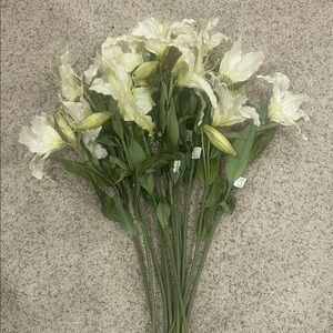 Cream Lily Flower Stems